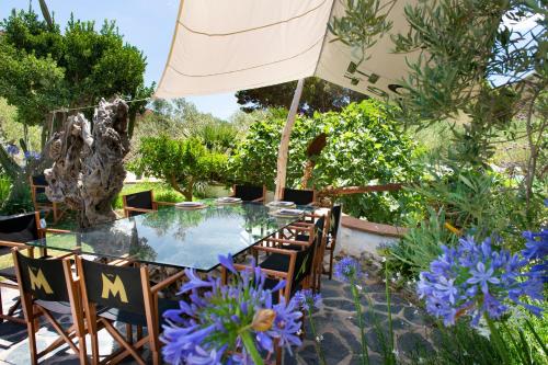 Vườn, Hotel Cala Joncols in Roses Vườn, Hotel Cala Joncols in Roses