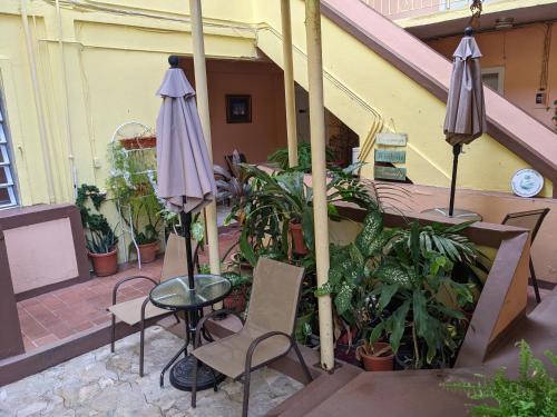 Градина, Midtown Guest House in Шарлот Амали Градина, Midtown Guest House in Шарлот Амали