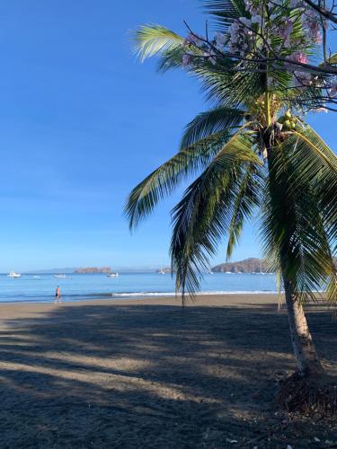 playa, Toro Blanco in Coco playa, Toro Blanco in Coco