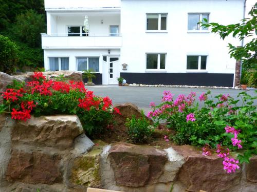 Hotel Villa Luise
