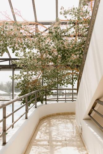 Vista exterior, Hotel Les Corallines - Thalasso & Resort in La Grande Motte Vista exterior, Hotel Les Corallines - Thalasso & Resort in La Grande Motte