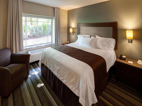 在meiguo.com看到的东大道套房酒店的介绍图片