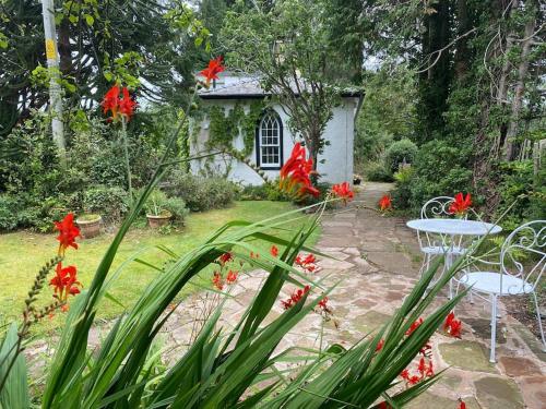 Holly Cottage. Romantic Getaway. Tourist base. in Stanwix Holly Cottage. Romantic Getaway. Tourist base. in Stanwix