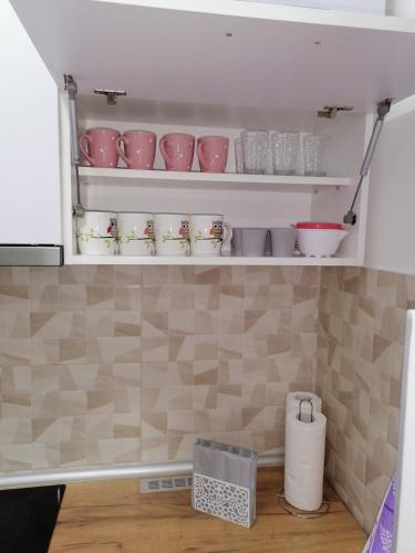 مطبخ, Apartman Tajna in Banja Koviljaca مطبخ, Apartman Tajna in Banja Koviljaca