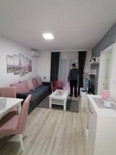 غرف النزلاء, Apartman Tajna in Banja Koviljaca غرف النزلاء, Apartman Tajna in Banja Koviljaca