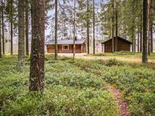 Holiday Home Makelanranta in Haukivuori Holiday Home Makelanranta in Haukivuori