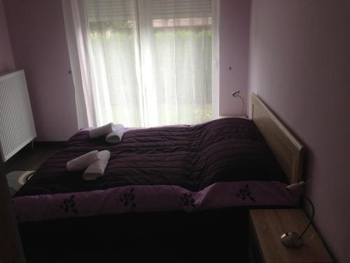 This photo about Apartman Virag shared on HyHotel.com