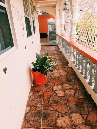 Essentials Suite in Bon Accord Village Essentials Suite in Bon Accord Village