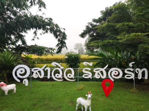 อุสาวิวรีสอร์ท in Tha Wang Pha อุสาวิวรีสอร์ท in Tha Wang Pha