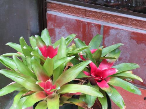 This photo about The Garden B&B shared on HyHotel.com