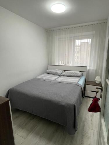 Central Boulevard Apartment in Šiauliai Central Boulevard Apartment in Šiauliai