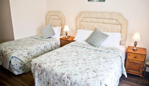 The Kerryway in Killarney The Kerryway in Killarney