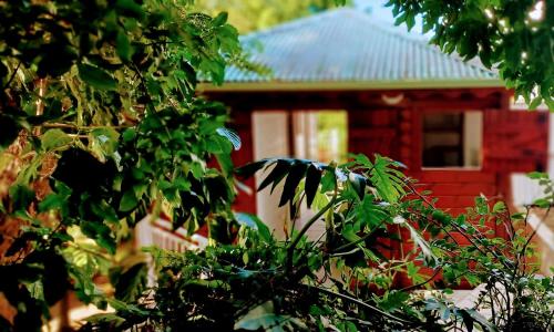 Gite Mamour - Charmant petit bungalow à découvrir (Gite Mamour - Charmant petit bungalow a decouvrir) in Baillif Gite Mamour - Charmant petit bungalow à découvrir (Gite Mamour - Charmant petit bungalow a decouvrir) in Baillif