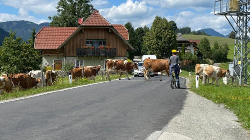 Biohof Kock Tonibauer in Zeutschach Biohof Kock Tonibauer in Zeutschach