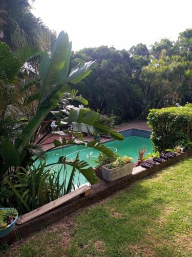 Swimming pool, Montrose Valley B&B in Stirling Swimming pool, Montrose Valley B&B in Stirling