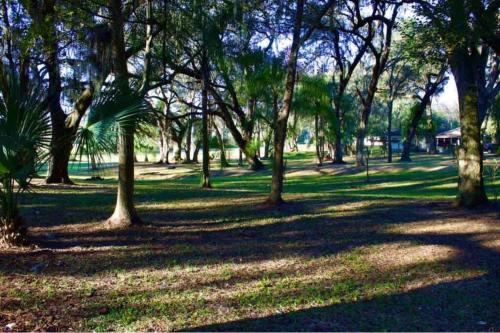 Cheerful 3 bedrooms Home on 3.5acres Rv parking in Zephyrhills (FL) Cheerful 3 bedrooms Home on 3.5acres Rv parking in Zephyrhills (FL)