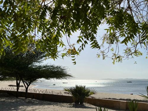 rand, Mangrove House in Lamu saar rand, Mangrove House in Lamu saar