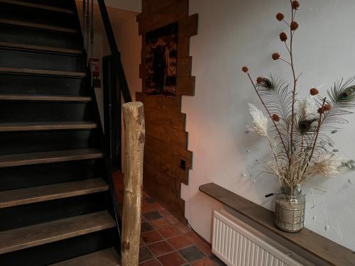 Bed&Breakfast Jonker in Schouwen-Duiveland Bed&Breakfast Jonker in Schouwen-Duiveland