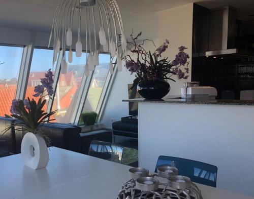 Appartement Modern Egmond in Egmond aan Zee City Center Appartement Modern Egmond in Egmond aan Zee City Center