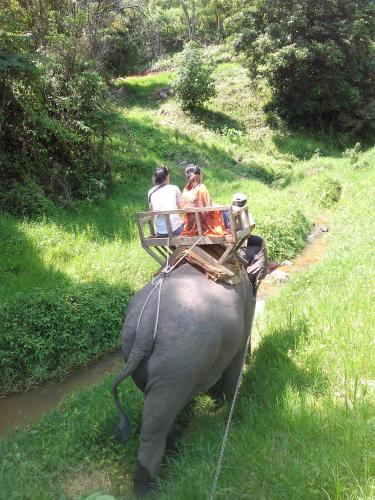 This photo about Hi Guest House Chiang Mai shared on HyHotel.com