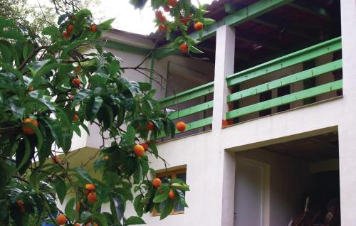 Exterior view, Nice Apartment In Sagone With Kitchen in Coggia Exterior view, Nice Apartment In Sagone With Kitchen in Coggia