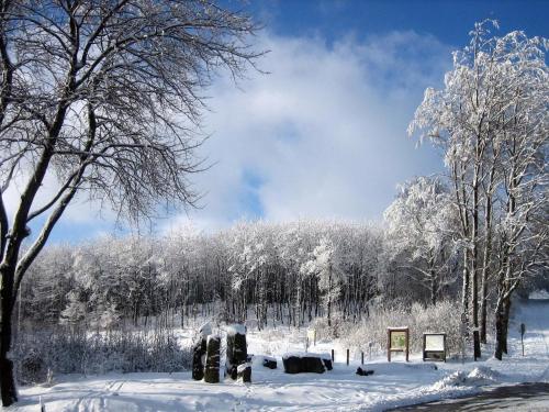 Surrounding environment, Luxurious Holiday Home in Tännesberg with Garden in Tannesberg Surrounding environment, Luxurious Holiday Home in Tännesberg with Garden in Tannesberg
