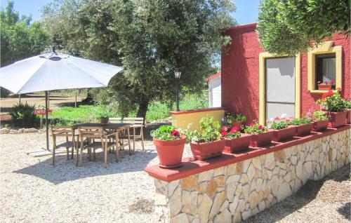Exterior view, Beautiful home in San Vito Dei Normanni with WiFi in San Vito dei Normanni Exterior view, Beautiful home in San Vito Dei Normanni with WiFi in San Vito dei Normanni