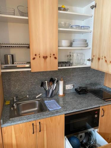 Kitchen, Relaxing confortable studio, heated garage, skiroom in Samedan Kitchen, Relaxing confortable studio, heated garage, skiroom in Samedan