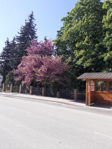 View, Borostyan Vendeghaz in Tiszaug View, Borostyan Vendeghaz in Tiszaug