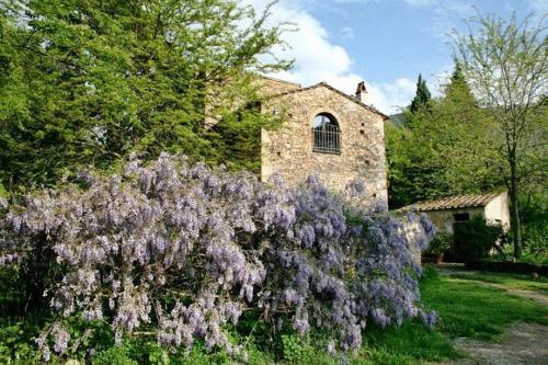 Il Molendino Pisa B&B
Il Molendino Pisa B&B