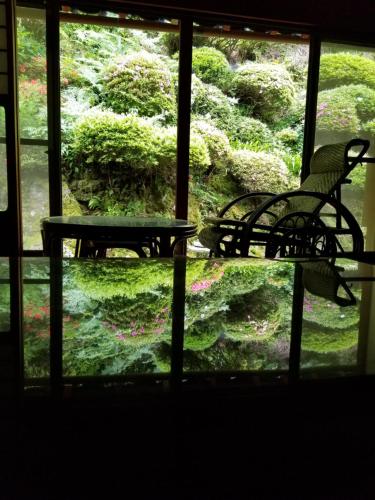 Garden, 泰山木美山 in Nantan Garden, 泰山木美山 in Nantan