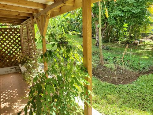 Garden, Appartement charmant a Sainte-Rose - 70m² avec terrasse in Sainte Rose Garden, Appartement charmant a Sainte-Rose - 70m² avec terrasse in Sainte Rose