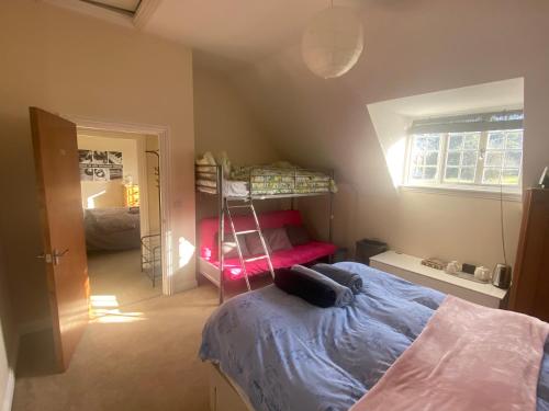 Beautiful Frank James Court in East Cowes Beautiful Frank James Court in East Cowes