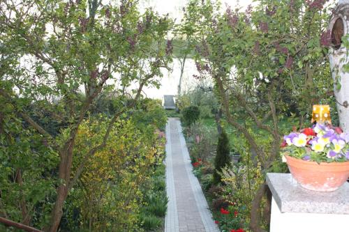 Garden, Ferienwohnung am Schlosssee. in Luckow Garden, Ferienwohnung am Schlosssee. in Luckow