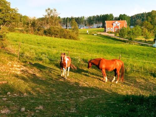 Sadržaji, Holiday home STJARNHOV in Stjarnhov Sadržaji, Holiday home STJARNHOV in Stjarnhov