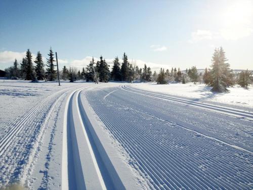 Surrounding environment, Ski and Bike-In and Out in Oyer Surrounding environment, Ski and Bike-In and Out in Oyer