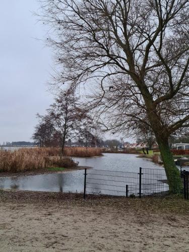 View, Nieuw! Sfeervol Tiny House in de natuur en aan het water in Hulshorst View, Nieuw! Sfeervol Tiny House in de natuur en aan het water in Hulshorst