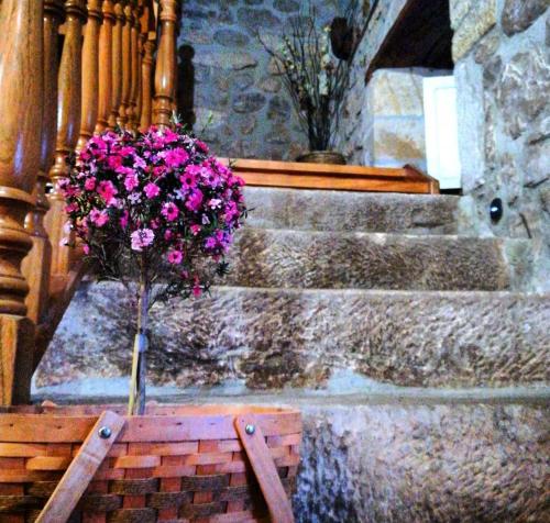 La Posada de Maria in Mazcuerras La Posada de Maria in Mazcuerras