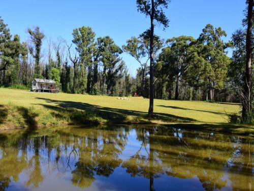 Pindari - Tiny Home Kangaroo Valley in Kangaroo Valley Pindari - Tiny Home Kangaroo Valley in Kangaroo Valley