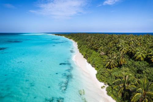 Surrounding environment, Island Luxury Fulhadhoo Boutique Hotel in Goidhoo Atoll Surrounding environment, Island Luxury Fulhadhoo Boutique Hotel in Goidhoo Atoll