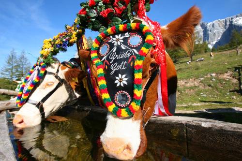 This photo about Haus Bergzauber shared on HyHotel.com