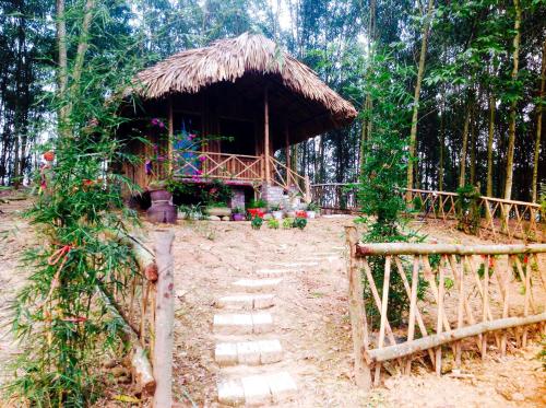 Pai Bjooc homestay in Tuyen Quang Pai Bjooc homestay in Tuyen Quang