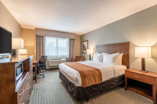 Comfort Inn & Suites in Shakopee (MN) Comfort Inn & Suites in Shakopee (MN)