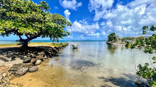 παραλία, RAIATEA - Bungalow Nautilus Pool in Raiatea παραλία, RAIATEA - Bungalow Nautilus Pool in Raiatea