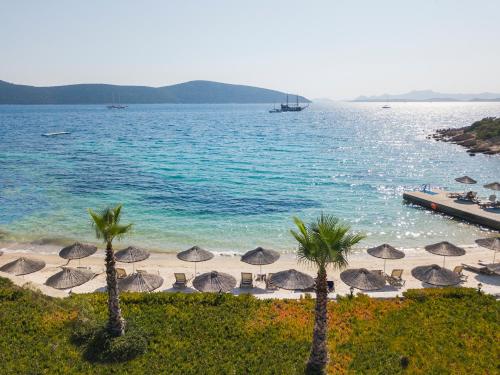 شاطئ, منتجع وسبا بودروم هوليداي (Bodrum Holiday Resort & Spa) in يالتشيفليك شاطئ, منتجع وسبا بودروم هوليداي (Bodrum Holiday Resort & Spa) in يالتشيفليك