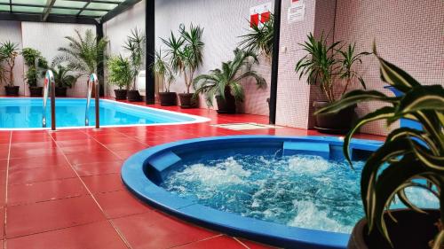 Piscină, Hotel Concordia in Târgu Mureș Piscină, Hotel Concordia in Târgu Mureș