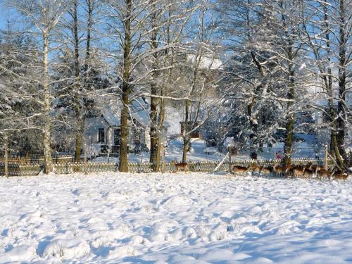 Surrounding environment, Comfortable Holiday Home in Schlettau near Horse Riding in Schlettau Surrounding environment, Comfortable Holiday Home in Schlettau near Horse Riding in Schlettau
