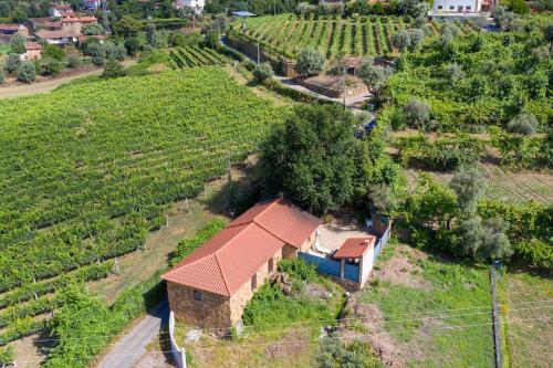 Casa das Vinhas Camelias de BastoTurismo Rural in เซโลริโก เด บาสโต Casa das Vinhas Camelias de BastoTurismo Rural in เซโลริโก เด บาสโต