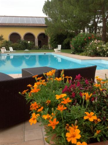 Swimming pool, Agriturismo Corte Capiluppia in Mantova Swimming pool, Agriturismo Corte Capiluppia in Mantova