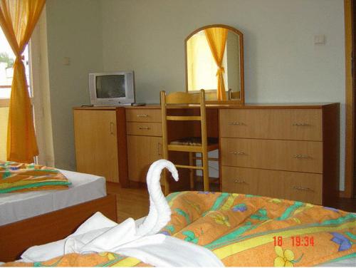 This photo about Viva Beach Hotel shared on HyHotel.com